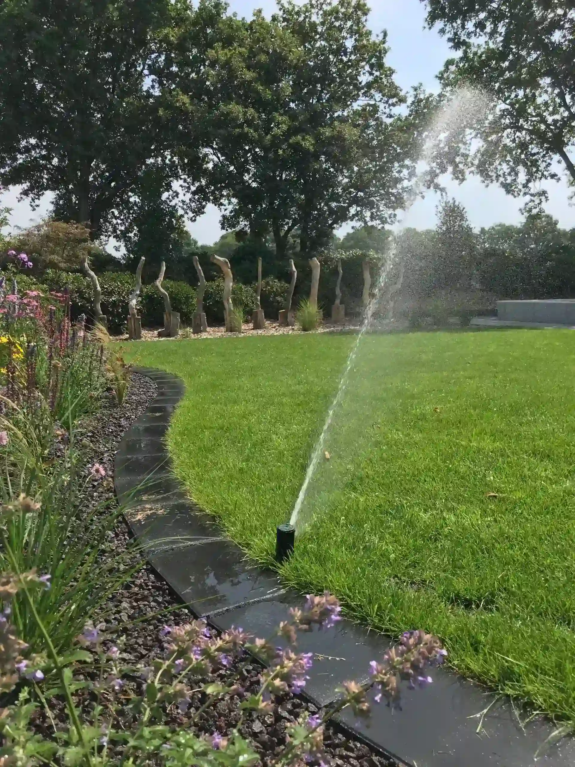 Project Ansen afbeelding 5