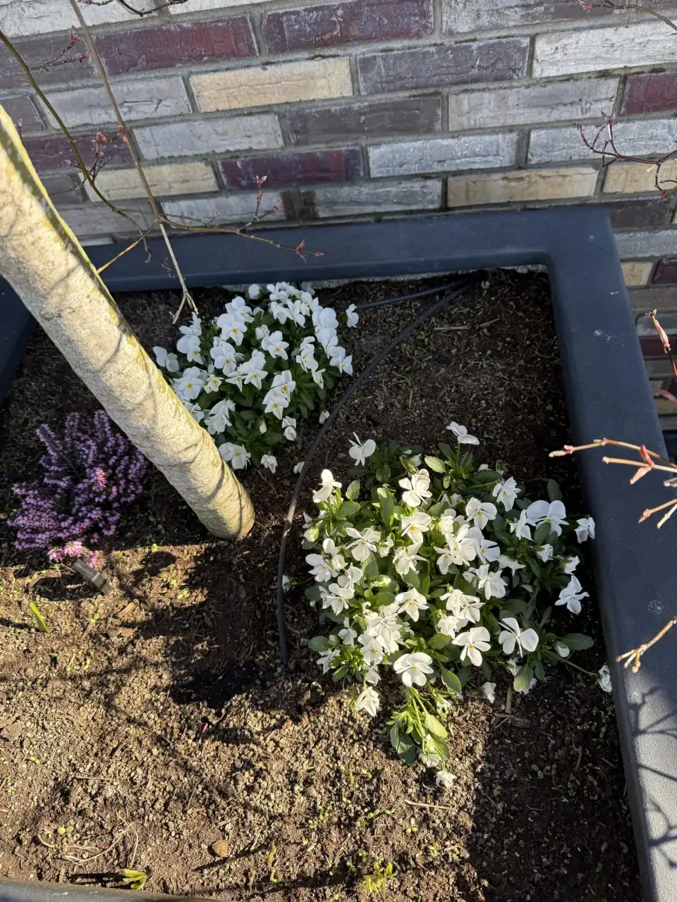 Project Heerenveen afbeelding 1